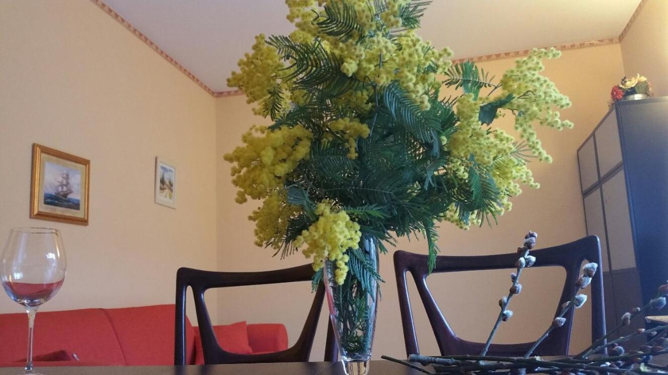 Appartamento Lucio Λεβάντο Εξωτερικό φωτογραφία
